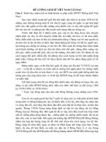 Lịch sử VN cận đại