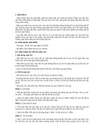 Kế hoạch thi tìm hiểu Luật giao thông đường bộ 2009