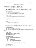 Sinh hoat nhom song song - Tuan 03-04