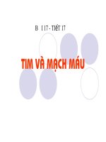 Bai17_8_TIM VA MACH MAU.ppt