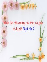 Tiết 125 Tổng kết phần Văn