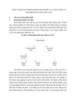 THỰC TRẠNG HỆ THỐNG KÊNH PHÂN PHỐI CỦA TỔNG CÔNG TY BẢO HIỂM DẦU KHÍ VIỆT NAM