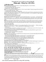 Ôn tập động học chất điểm