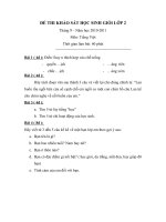 Đề khảo sát HSS Tiếng việt