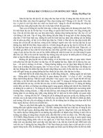 bai viet  thi dai hoc  co phai la con duong duy nhat 