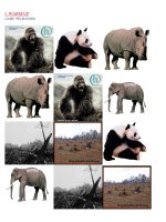 unit  10 lớp 10 (xem ma học hỏi)