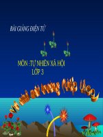 Vệ sinh môi trường