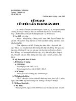 Kế Hoạch Cắm Trại Xuân