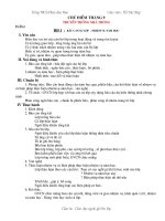 Giáo án Hoạt động giáo dục ngoài giờ lớp 8