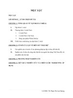 chiến lược maketing của tập doàn LOR'AL PARIS