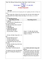 Giáo án 5 Tuần 8