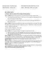 de thi hoc ki i lop 10