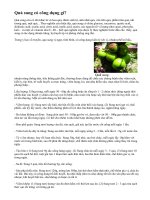 Cây sung chữa bệnh