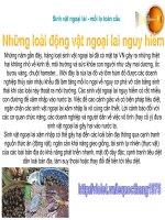 Khiếp sợ vì SINH VẬT NGOẠI LAI hay vì  ...