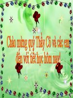 kháng chiến chống Tống (1075-1077)