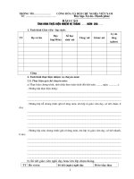 Mẫu báo cáo hàng tháng của tổ trưởng chuyên môn