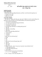 DE KHAO SAT DAU NAM LOP5. TV-TOÁ