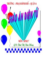 Bạch cầu - Miễn dịch