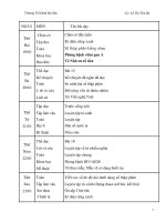 giáo án lớp 5 tuàn 8 (cktkn) 2010-2010