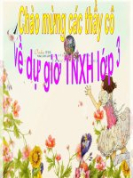 TNXH lớp 3:Bài 49 Động vật