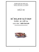 Tuần 20 lớp 3 SN