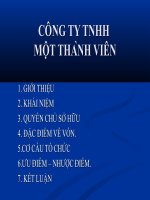 BAI THUYET TRINH CÔNG TY TNHH MTV Mới