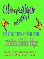 CƠ QUAN PHÂN TÍCH THÍNH GIÁC- SH8