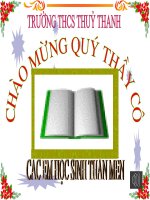 ngia tuong minh -giao an du thi