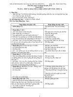 Đạo đức lớp 5 CKT mới nhất 2010-2011