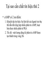 Chuyên đề tế bào 2