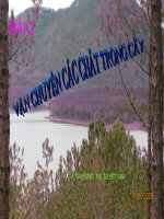 bài 2. vận chuyển các chất trong cây