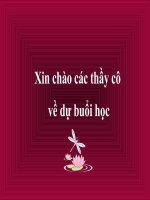 chương trình soạn thảo văn bản