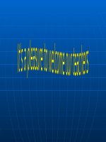 Class 11- Unit 13 Speaking