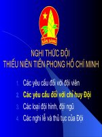 bài giảng tập huấn nghi thức đội phần 3
