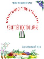 Phòng bệnh sốt rét. Khoa học 5