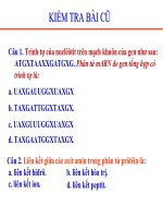 Bài 3: Điều hòa hoạt động của gen