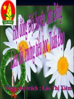 De tai Tong phu trach gioi cap tinh