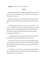 Kể chuyện cây tre trăm đốt