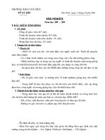 Mẫu kế hoạch tổ chuyên môn (năm)