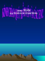 TIEU HOA VA CAC CO QUAN TIEU HOA