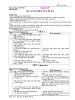 GA lớp 2 (tuần 10)