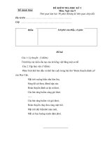 Đề Văn 9- đáp án hay