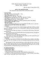 Báo cáo thành tích (Nguyên)