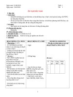 Giáo án Hóa NH:10-11