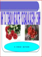 ƯỚC CHUNG. BỘI CHUNG