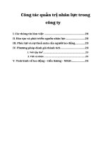 Công tác quản trị nhân lực trong công ty