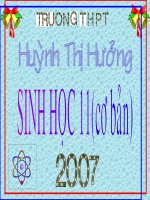 TIEU HOA O DV AN THIT