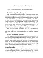 NGÂN HÀNG THƯƠNG MẠI VÀ RỦI RO TÍN DỤNG