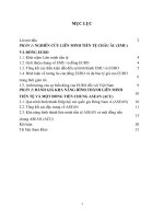 Liên minh tiền tệ ECU và gợi ý cho việt namx 