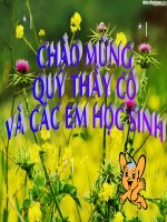 BÀI 9: LỊCH SỰ TẾ NHỊ CỰC HAY